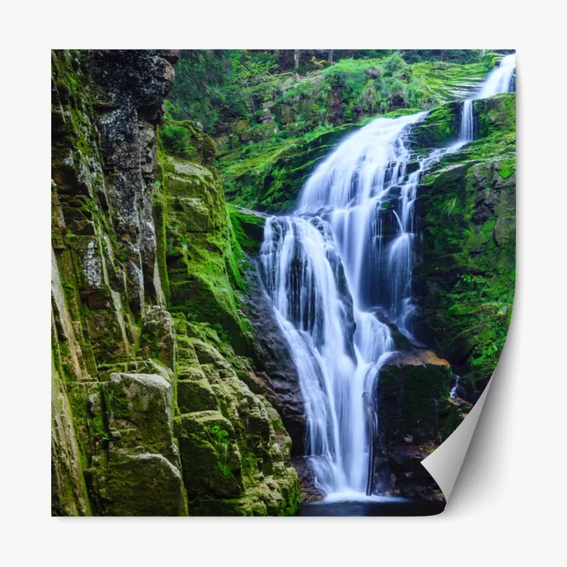 Repositionierbarer Aufkleber eukalyptus aquarellblätter auf dunklem hintergrund – Wallnifity®