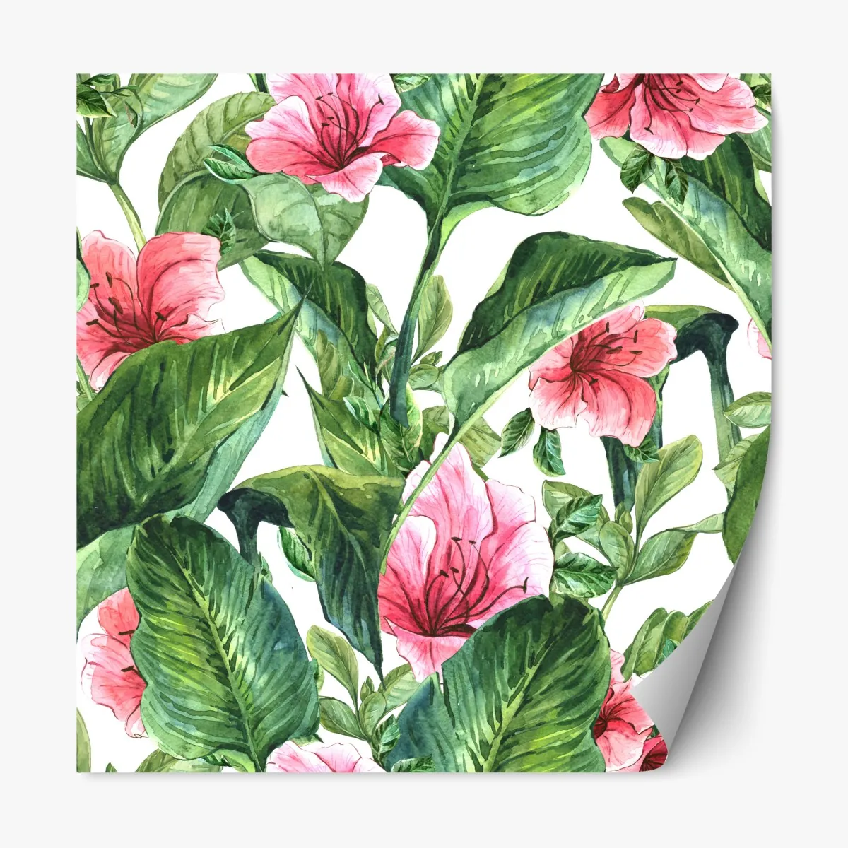 Repositionierbarer Aufkleber rosa aquarell blumen botanikmotiv – Wallnifity®