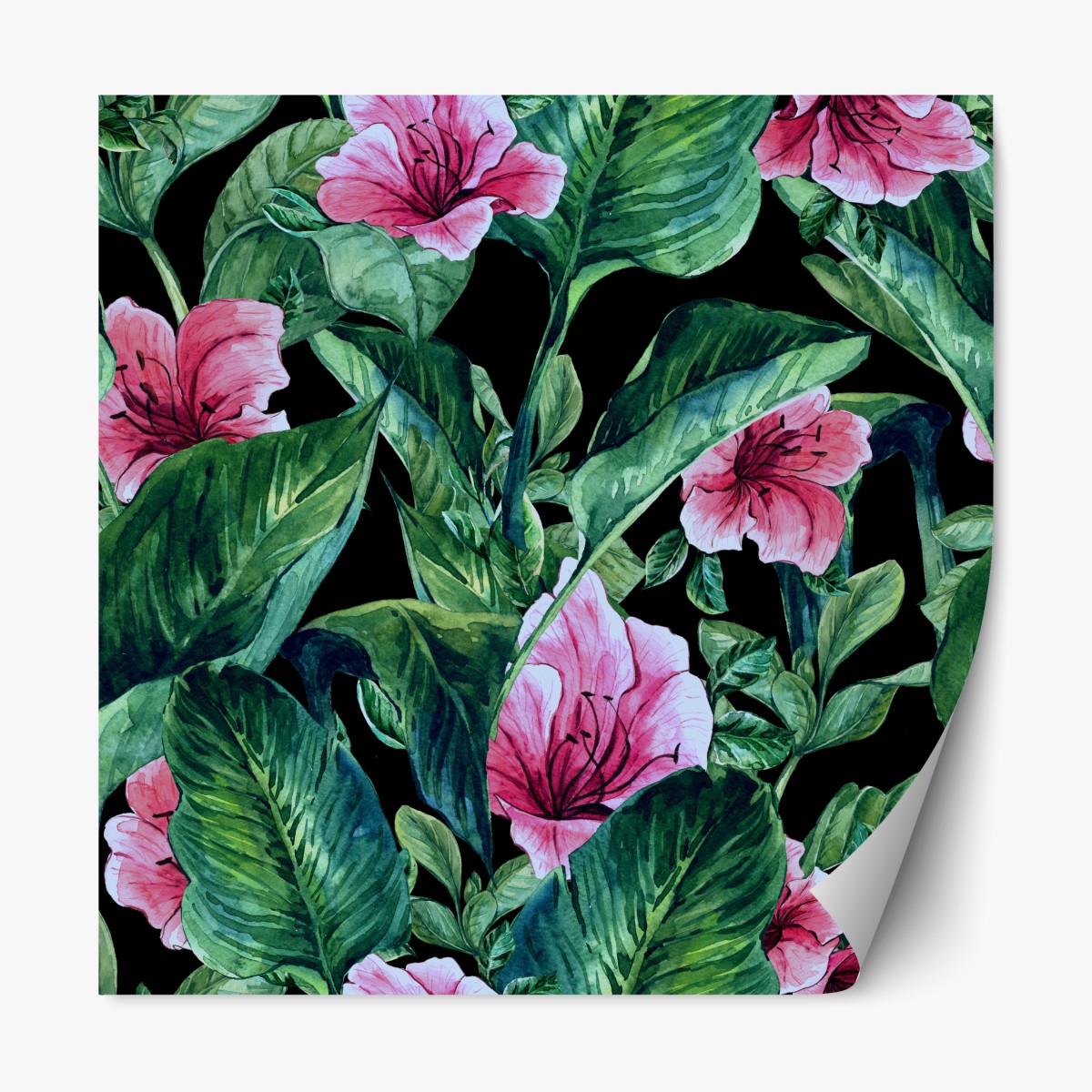 Repositionierbarer Aufkleber rosa aquarellblumen auf schwarzem hintergrund – Wallnifity®