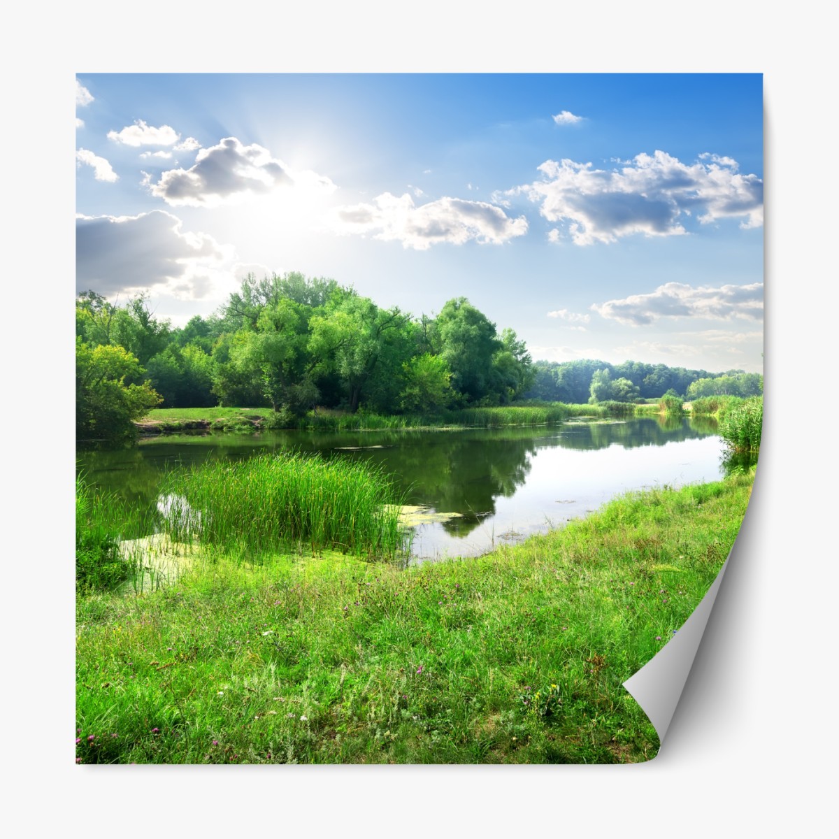 Repositionierbarer Aufkleber sonnige wiese am fluss – Wallnifity®