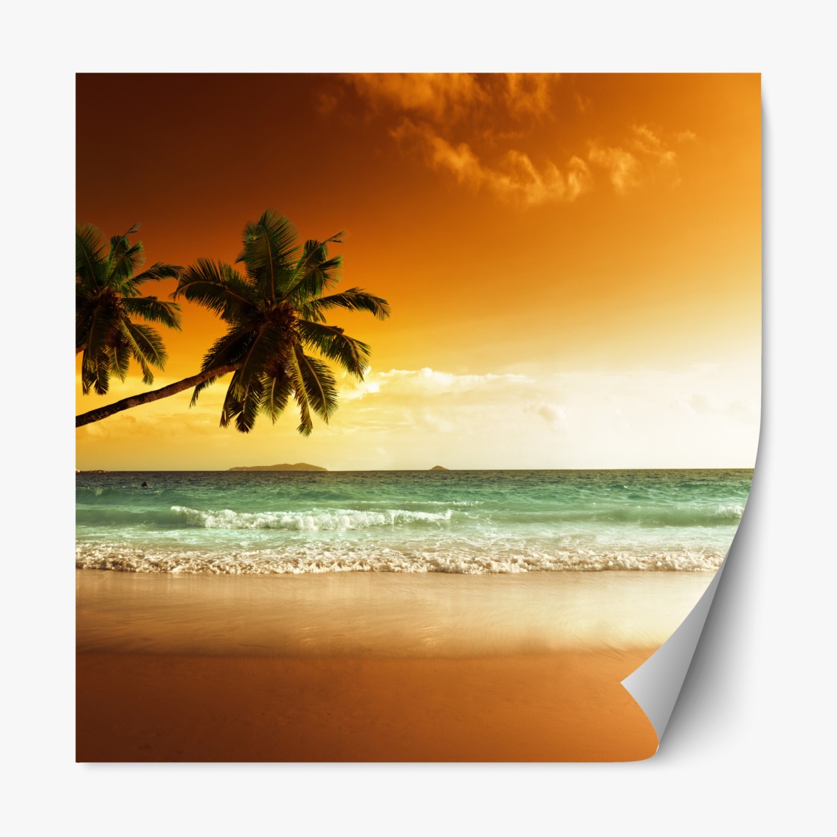 Repositionierbarer Aufkleber karibischer sonnenuntergang am strand mit palmen – Wallnifity®