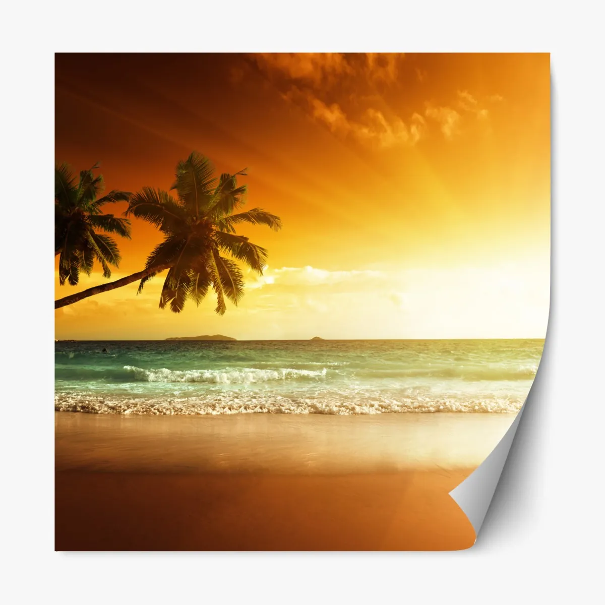 Repositionierbarer Aufkleber tropischer sonnenuntergang am strand – Wallnifity®