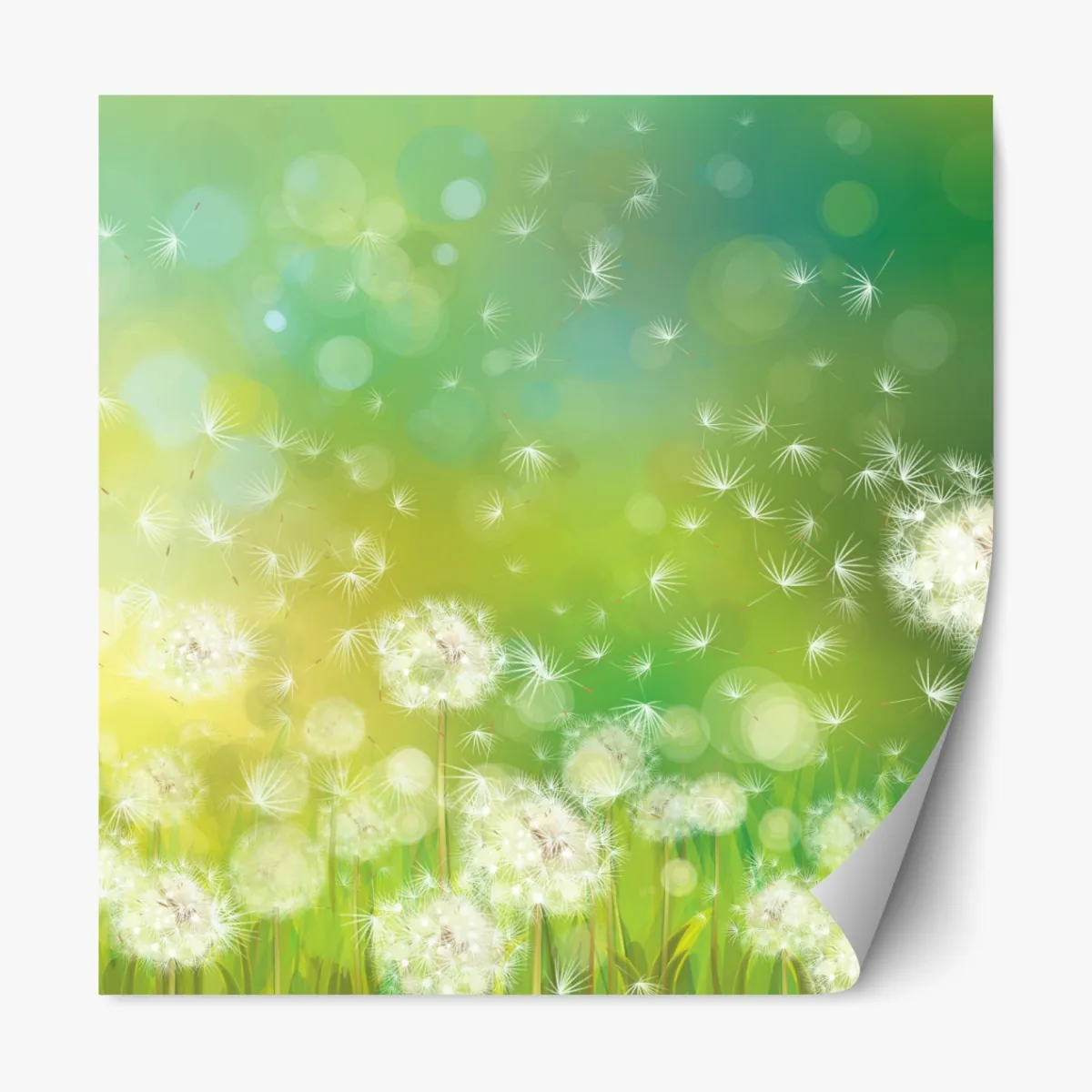 Repositionierbarer Aufkleber frühlingswiese mit löwenzahn – Wallnifity®