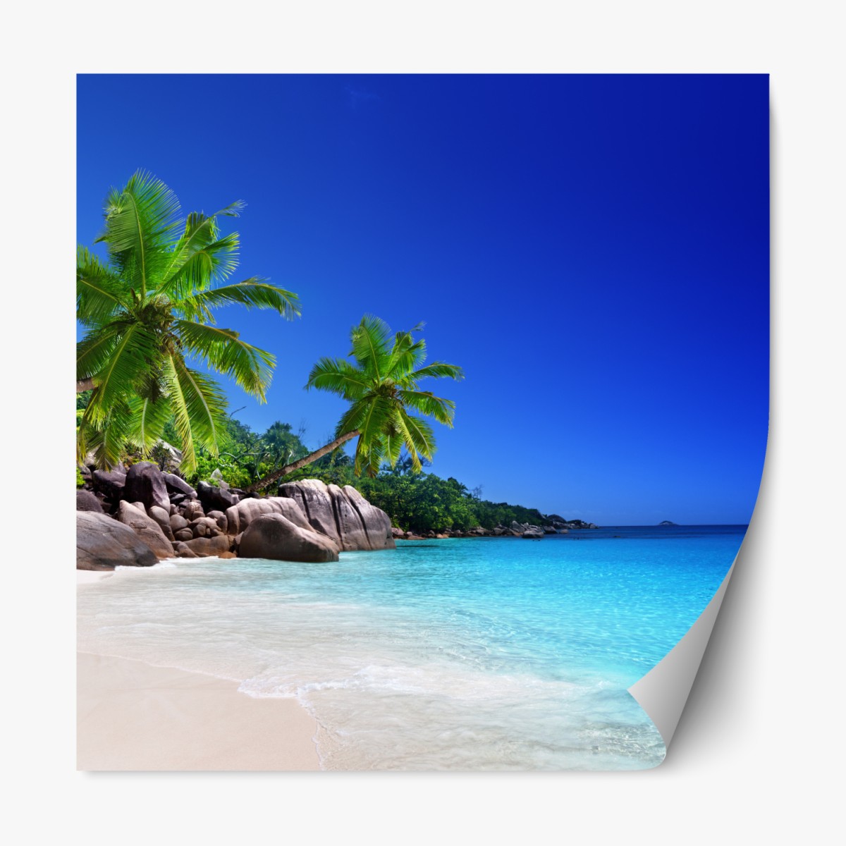 Repositionierbarer Aufkleber tropischer strand mit türkisfarbenem wasser und palmen – Wallnifity®