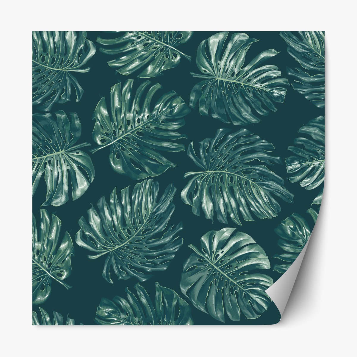 Repositionierbarer Aufkleber tropisches monstera-blattmuster – Wallnifity®