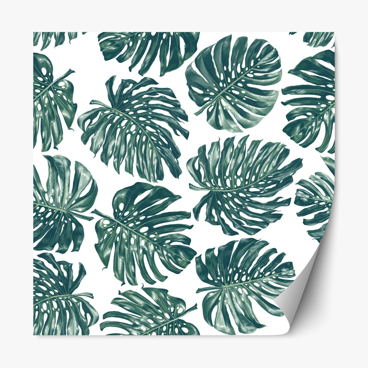 Repositionierbarer Aufkleber monstera blatt botanisches muster – Wallnifity®