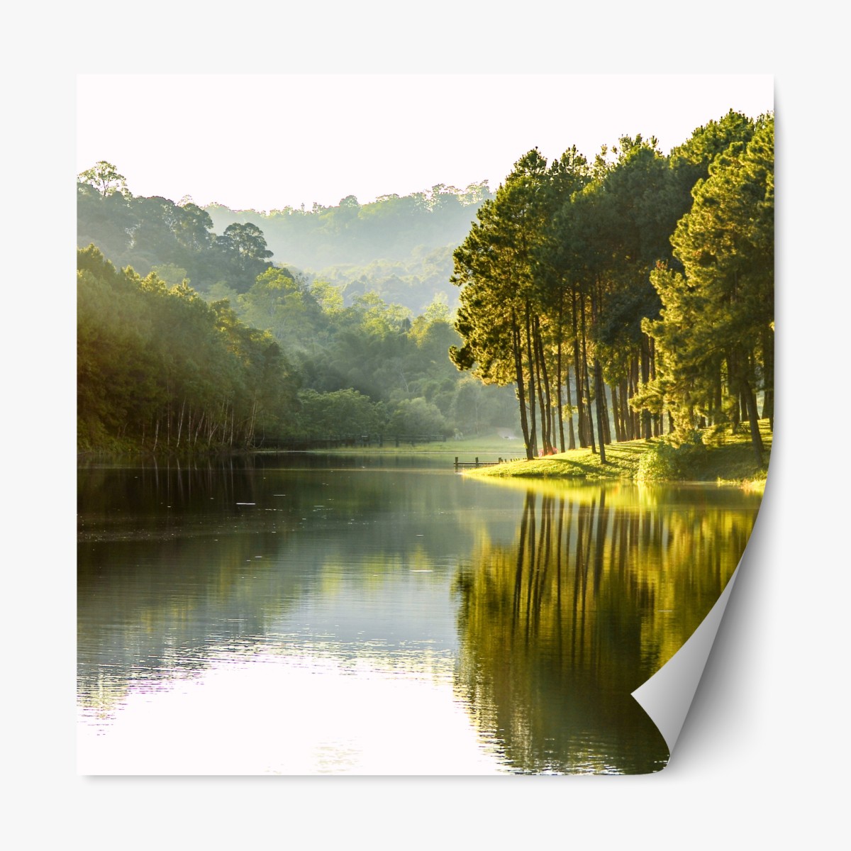 Repositionierbarer Aufkleber ruhiger kiefernwald am stillen see – Wallnifity®