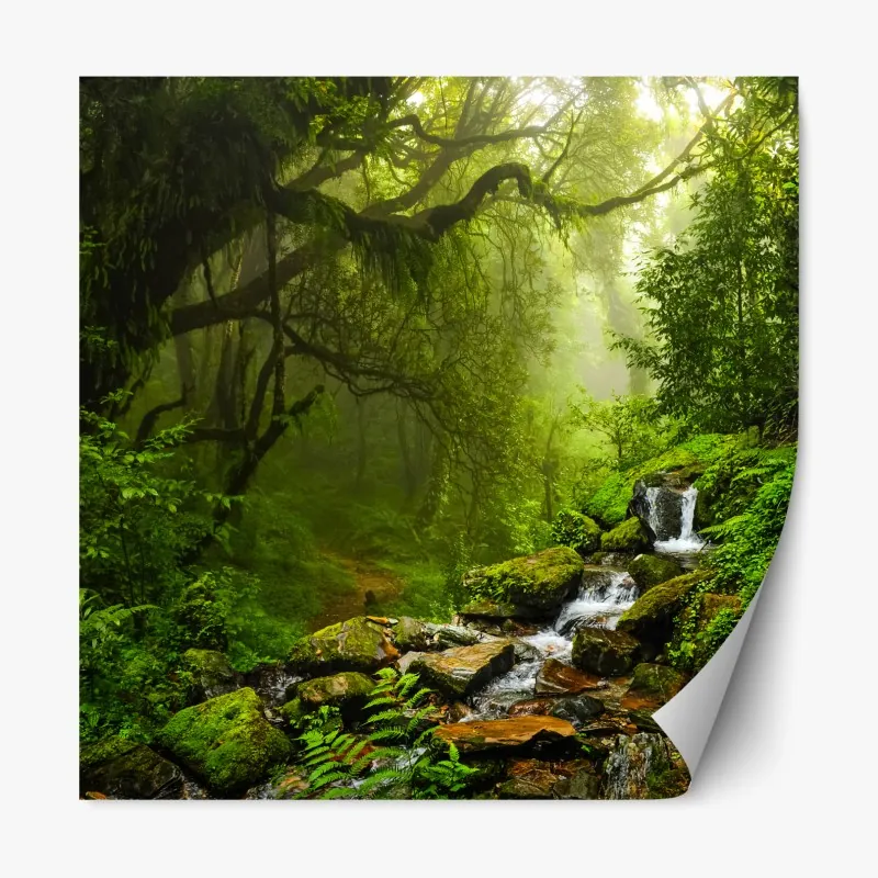 Repositionierbarer Aufkleber nebliger Giant Forest, Sequoia National Park – Wallnifity®