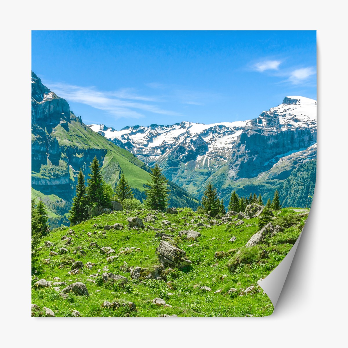 Repositionierbarer Aufkleber sonnige alpwiese in Engelberg – Wallnifity®
