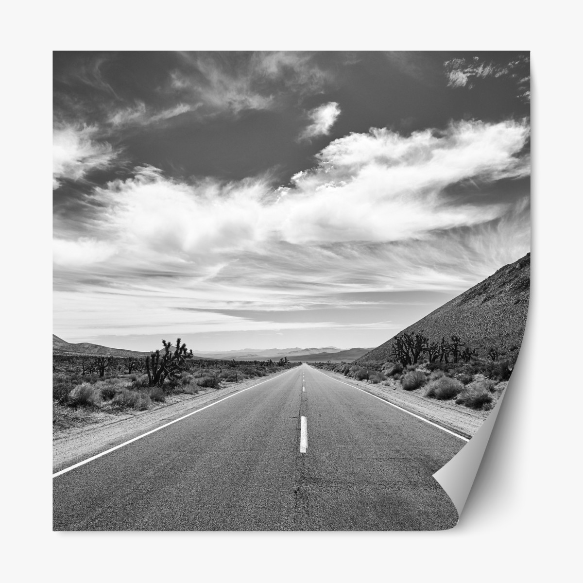 Repositionierbarer Aufkleber Death Valley offene Straße in schwarzweiß – Wallnifity®