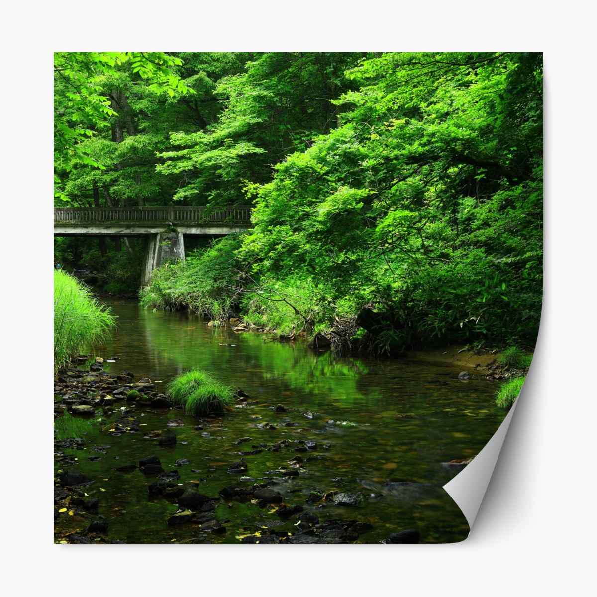 Repositionierbarer Aufkleber üppiger grüner waldbach mit steinbrücke – Wallnifity®
