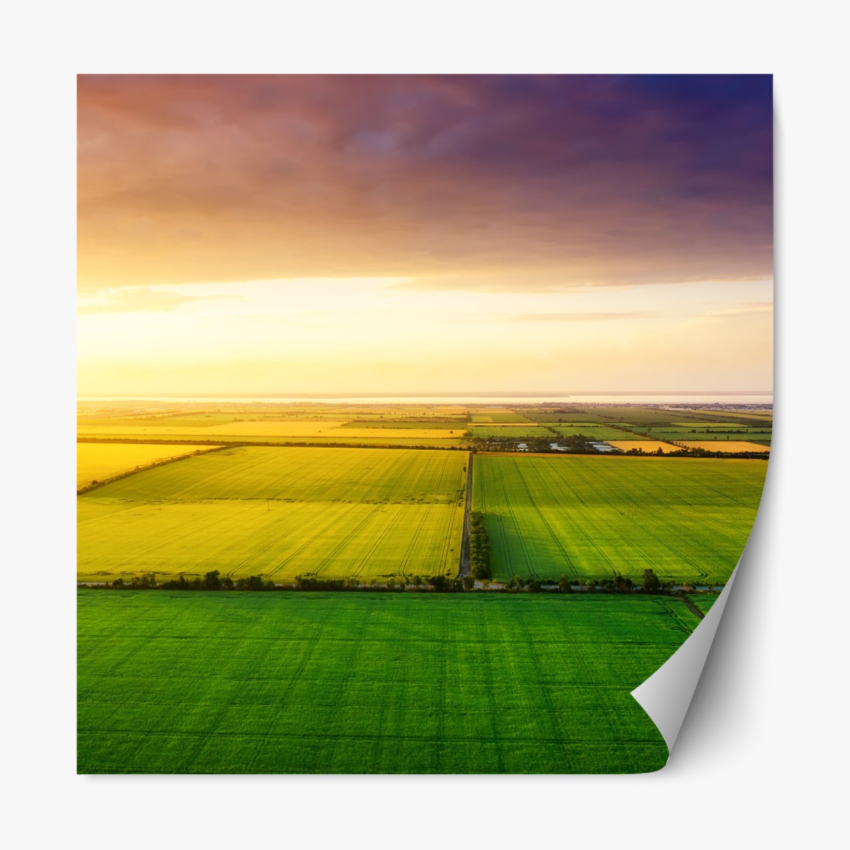 Repositionierbarer Aufkleber sonnenuntergang über grünen feldern – Wallnifity®