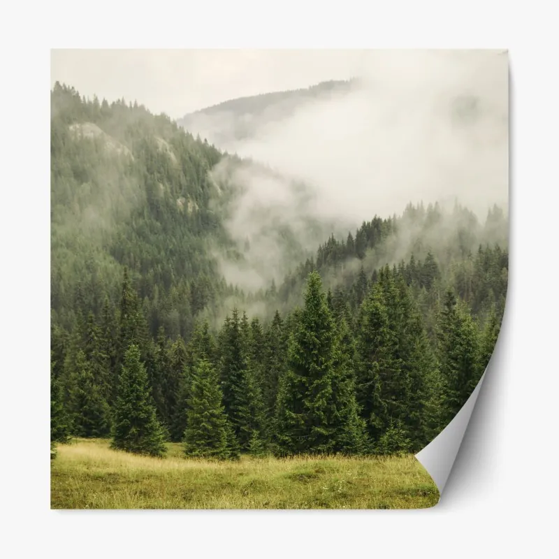 Repositionierbarer Aufkleber majestätischer brüllender löwe in monochrom – Wallnifity®