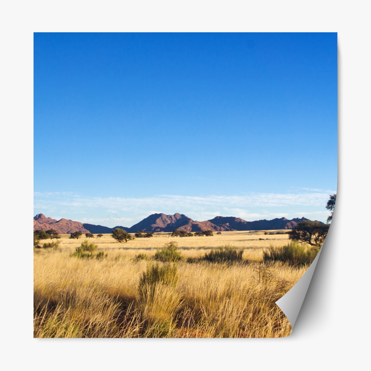 Repositionierbarer Aufkleber ruhige savannenlandschaft unter klarem blauem himmel – Wallnifity®