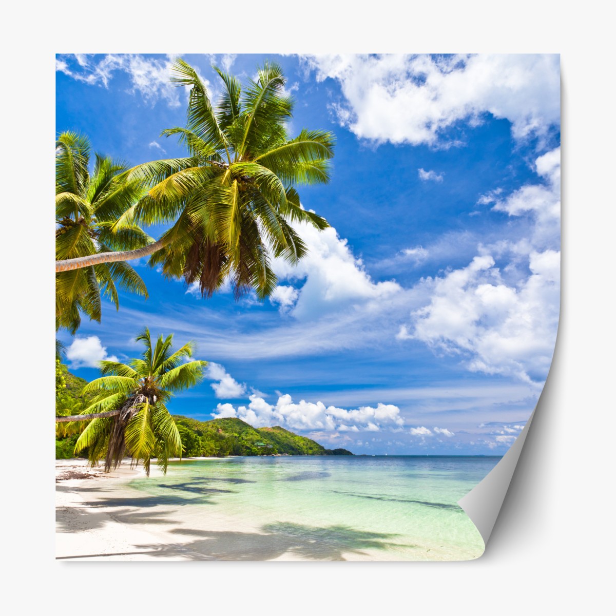 Repositionierbarer Aufkleber tropischer strand mit palmen – Wallnifity®
