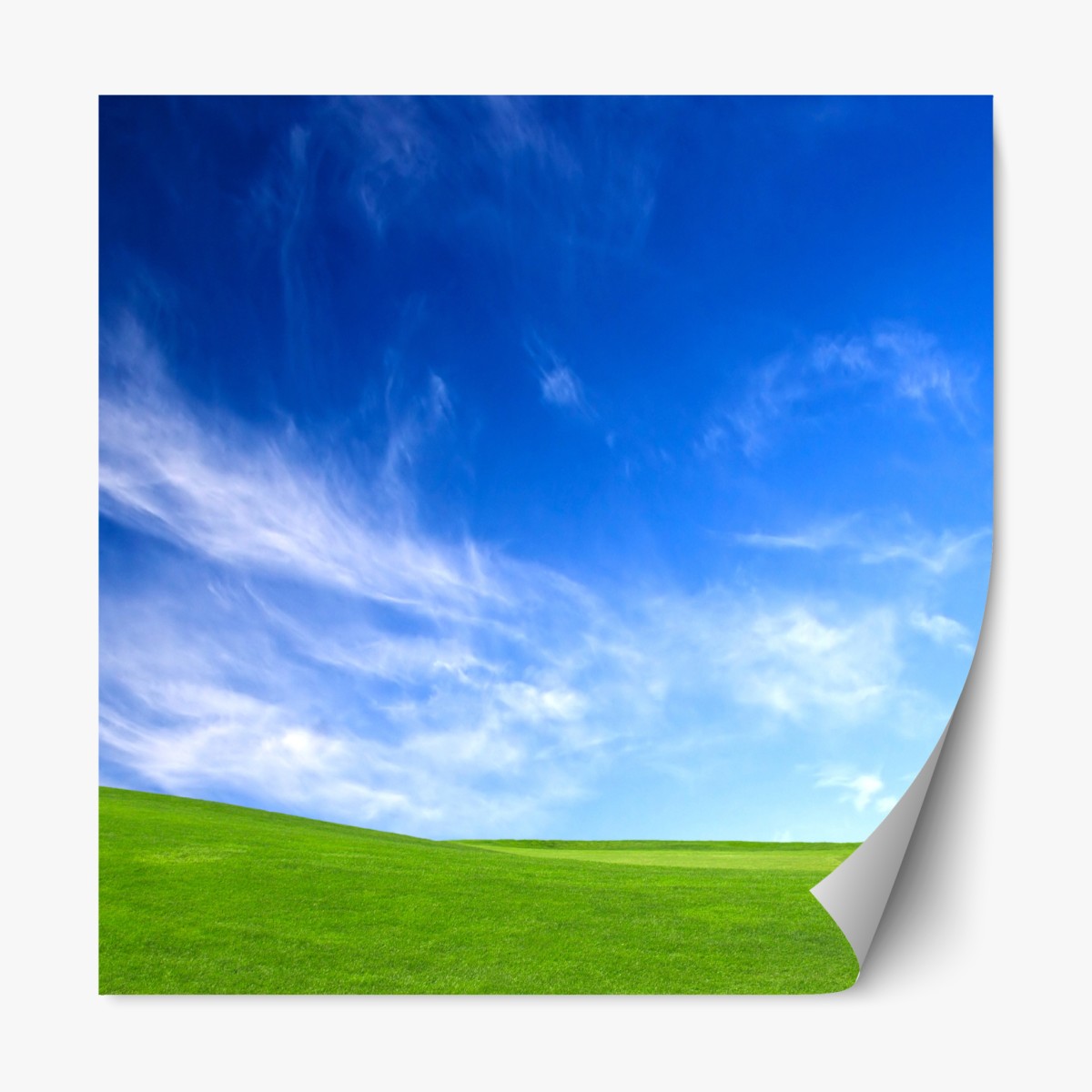 Repositionierbarer Aufkleber sonnige grüne wiese unter blauem himmel – Wallnifity®