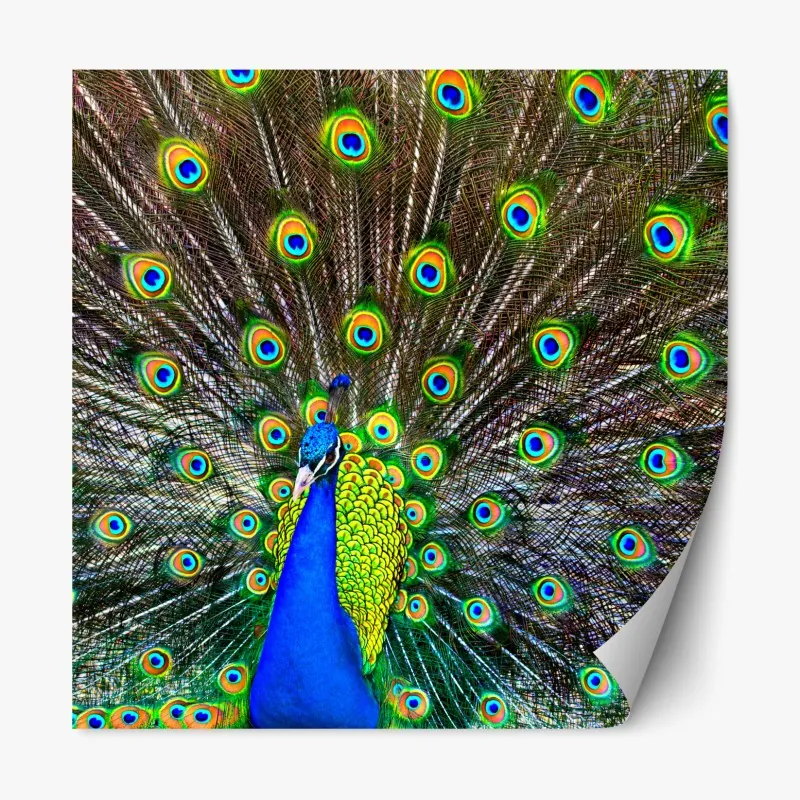 Repositionierbarer Aufkleber leuchtende tropische paradiesvogelblume auf grünen blättern – Wallnifity®
