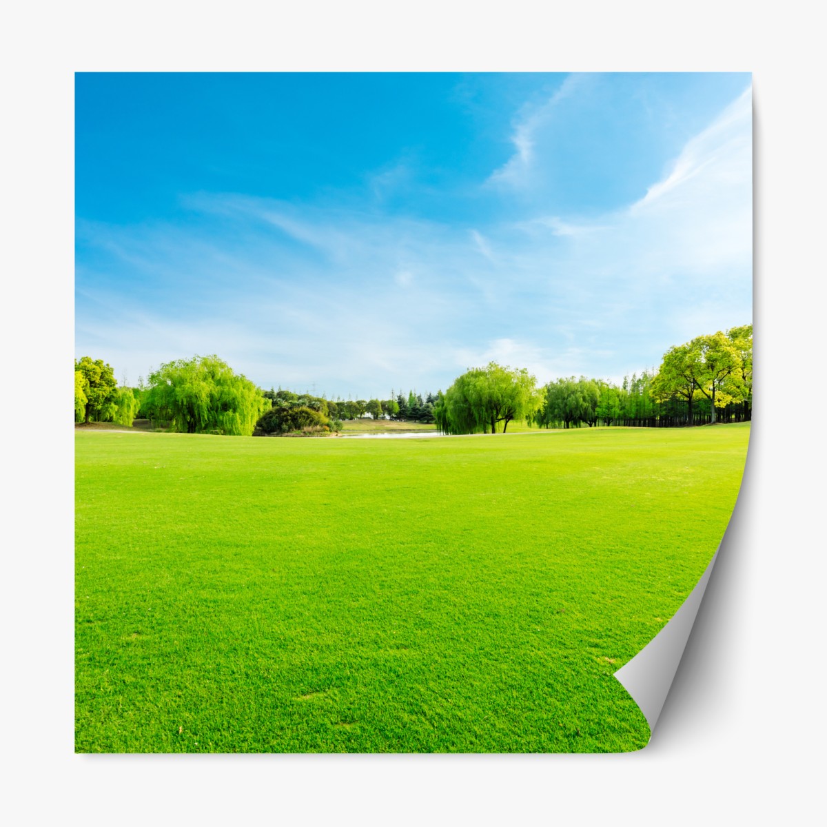 Repositionierbarer Aufkleber friedliche grüne wiese unter blauem himmel – Wallnifity®