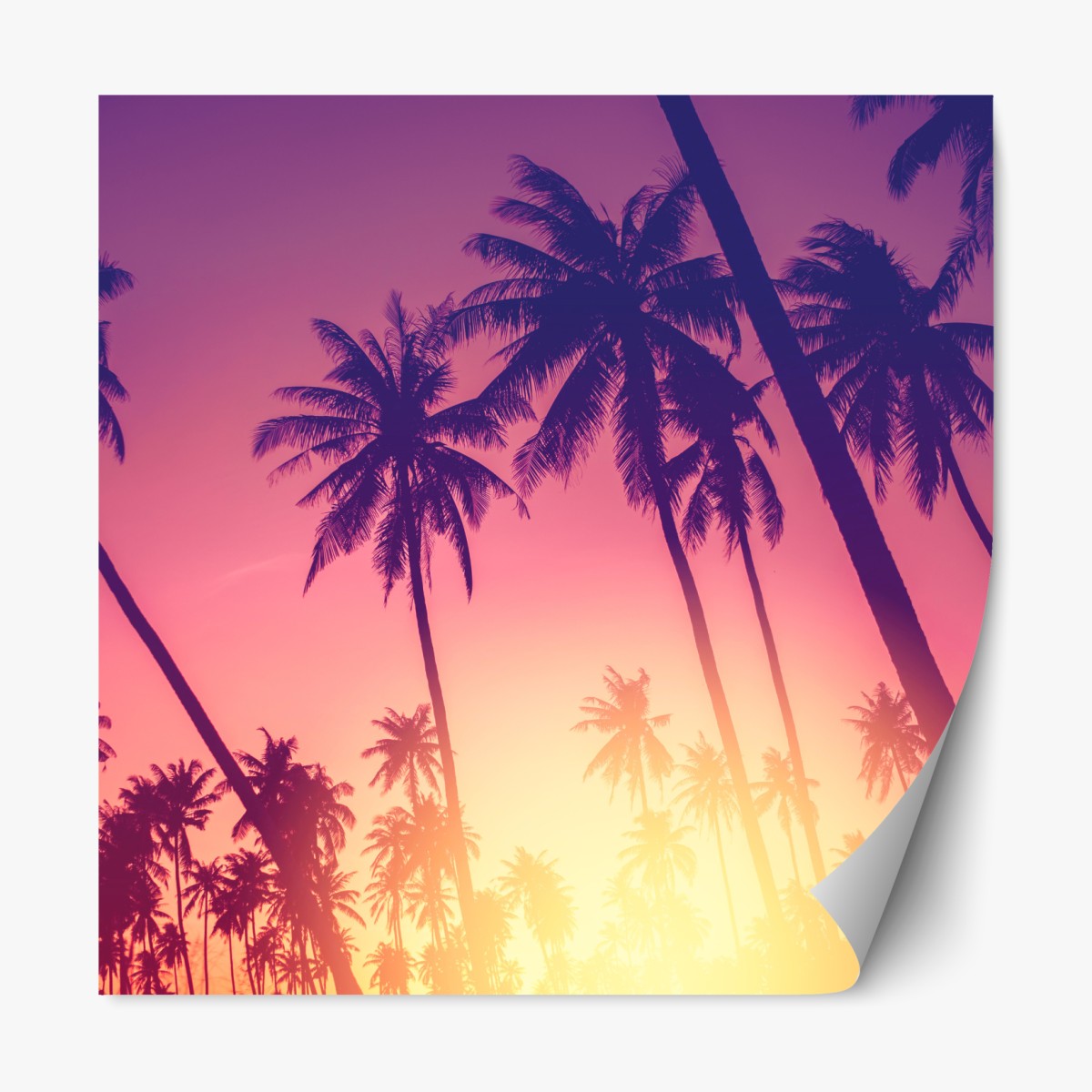 Repositionierbarer Aufkleber tropischer sonnenuntergang mit palmensilhouette – Wallnifity®