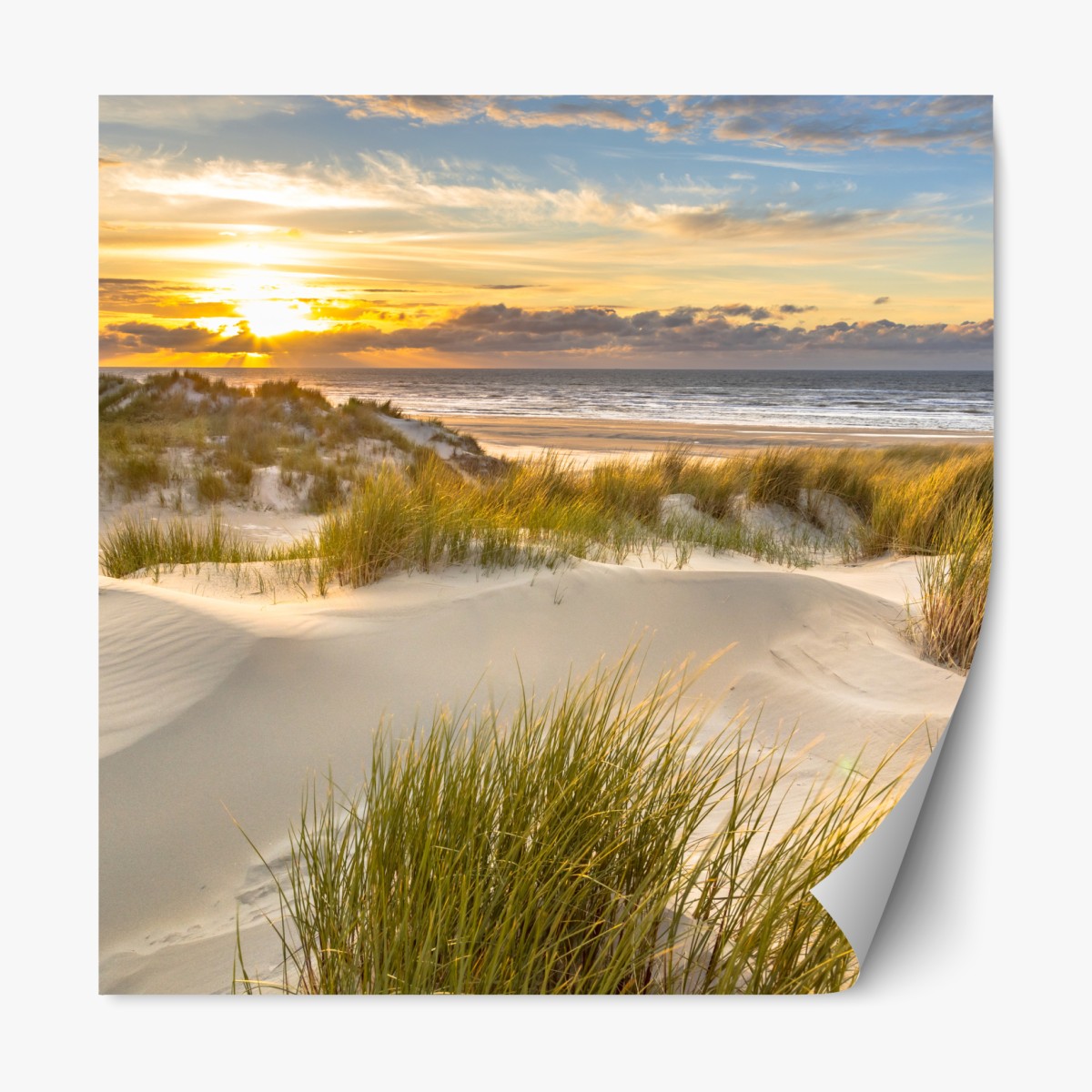 Repositionierbarer Aufkleber sonnenuntergang über den dünen von Ameland – Wallnifity®