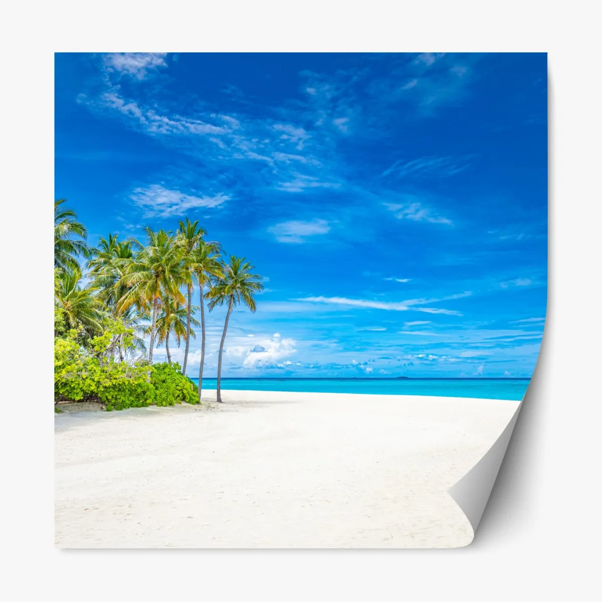 Repositionierbarer Aufkleber tropischer strand mit palmen – Wallnifity®