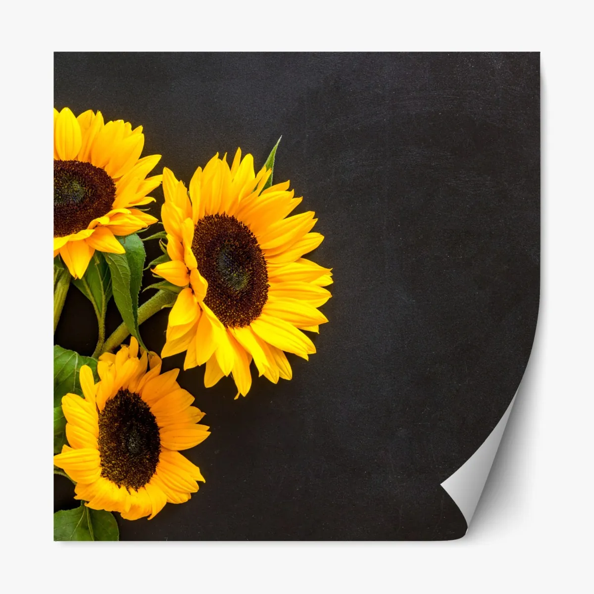 Repositionierbarer Aufkleber sonnenblumenstrauß auf schwarzem hintergrund – Wallnifity®