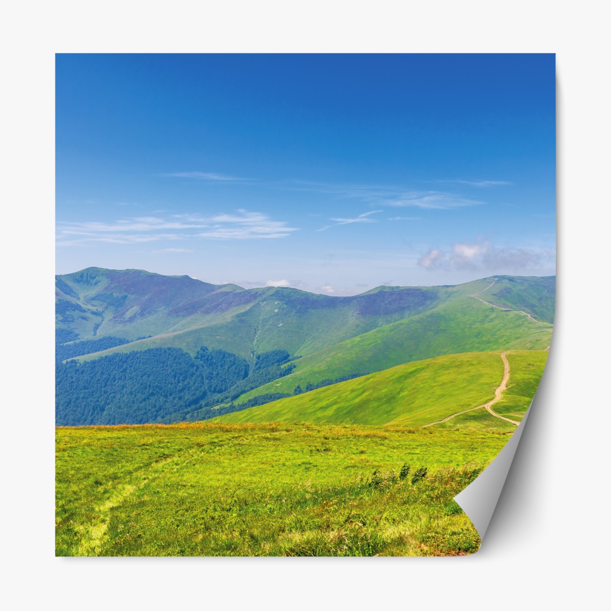 Repositionierbarer Aufkleber sonnige Borzhava-wiese, Transkarpatien, Ukraine – Wallnifity®
