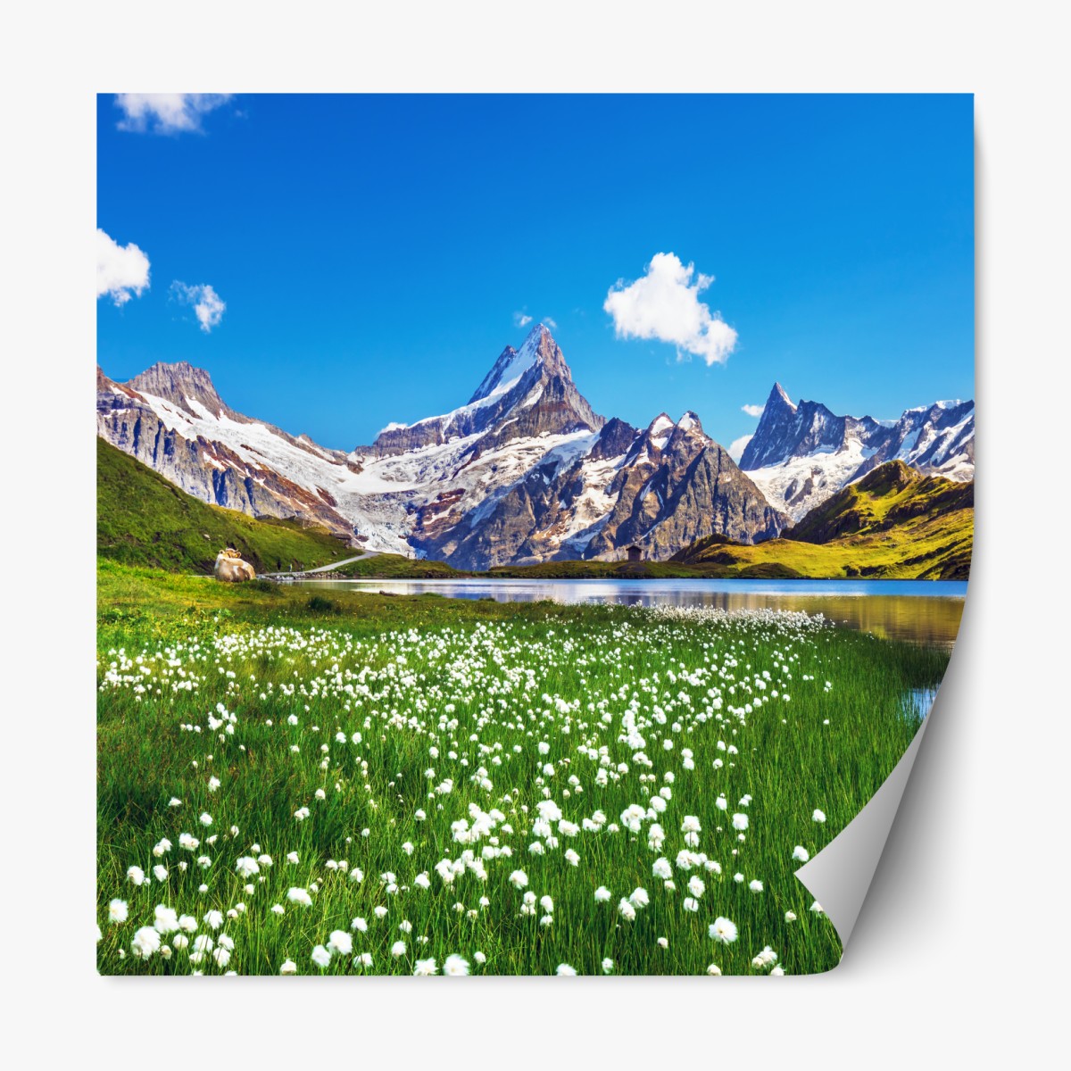 Repositionierbarer Aufkleber alpensee mit blumenwiese und berggipfeln – Wallnifity®
