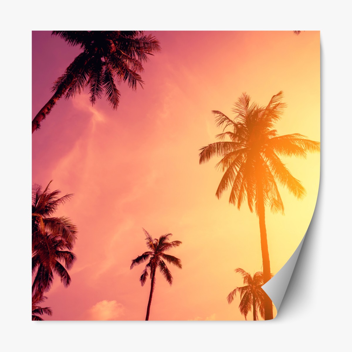 Repositionierbarer Aufkleber tropischer sonnenuntergang mit palmen – Wallnifity®
