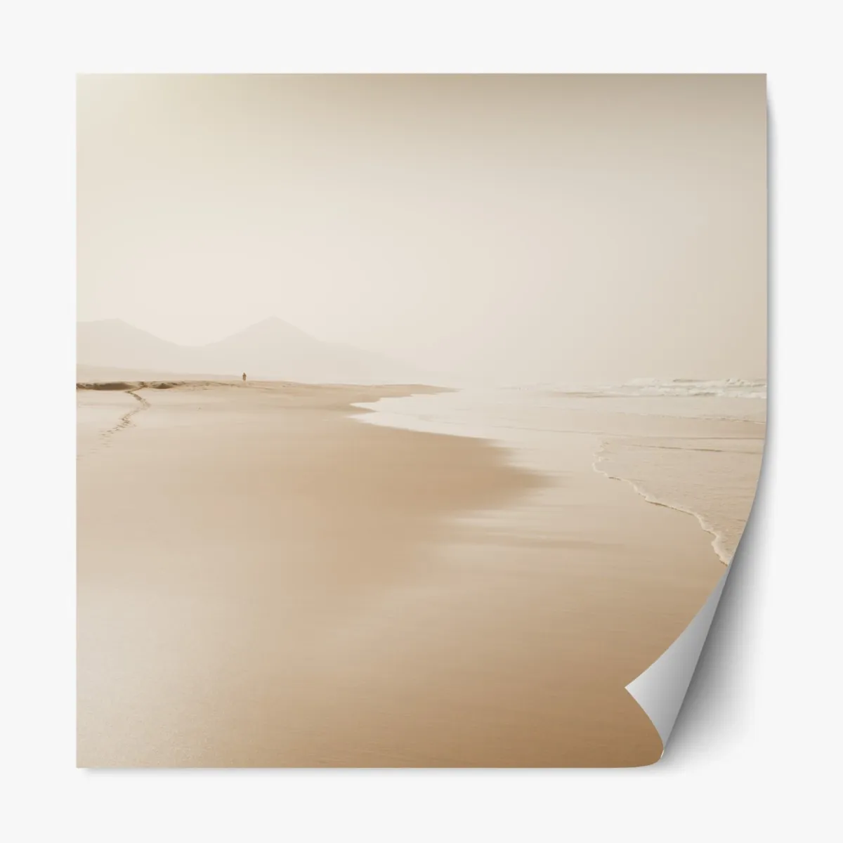 Repositionierbarer Aufkleber ruhiger sepia strand – Wallnifity®