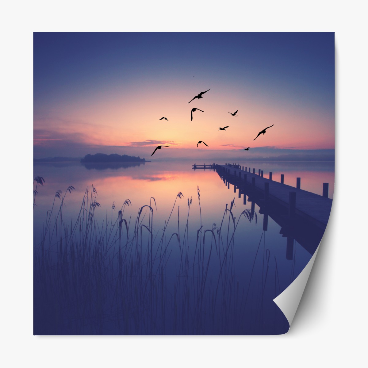 Repositionierbarer Aufkleber ruhiger sonnenaufgang am see mit vögeln – Wallnifity®