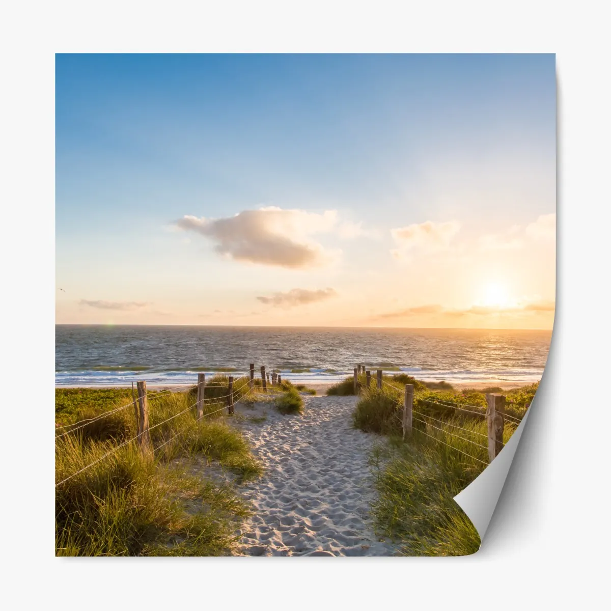 Repositionierbarer Aufkleber sonnenbeschienener strandweg zum meer – Wallnifity®
