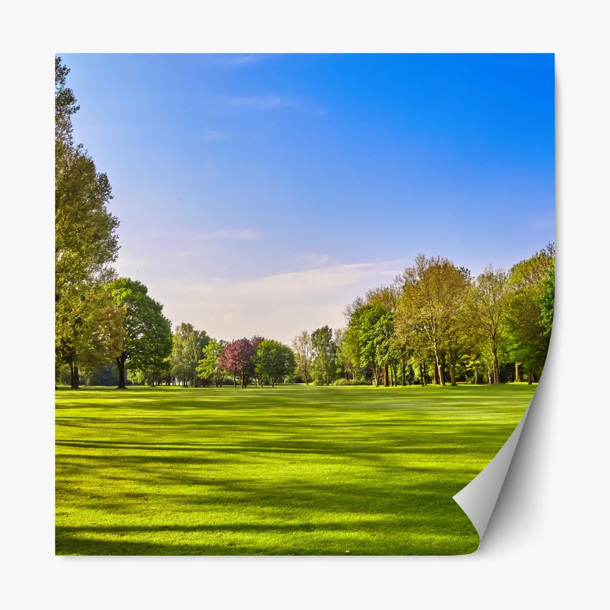 Repositionierbarer Aufkleber sonnige panoramaaufnahme eines stadtparks – Wallnifity®