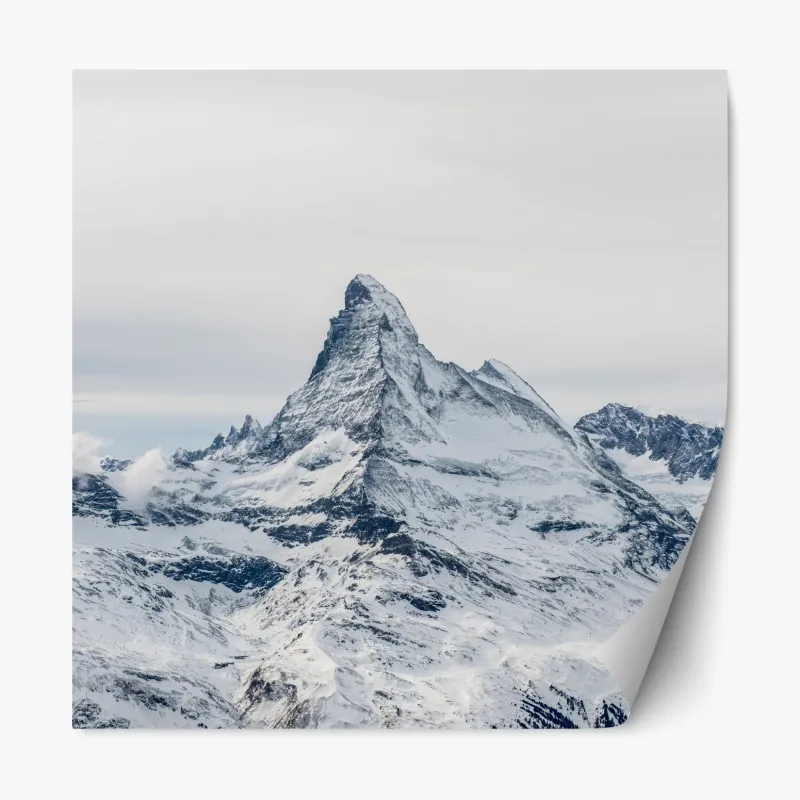 Repositionierbarer Aufkleber nebliger wald in monochrom – Wallnifity®