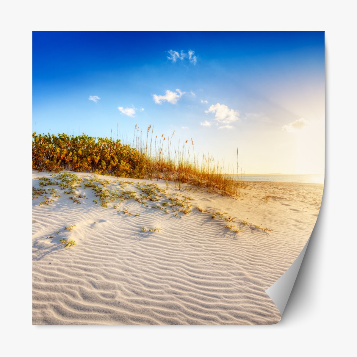 Repositionierbarer Aufkleber sonnenuntergang über sanddünen von Grace Bay – Wallnifity®