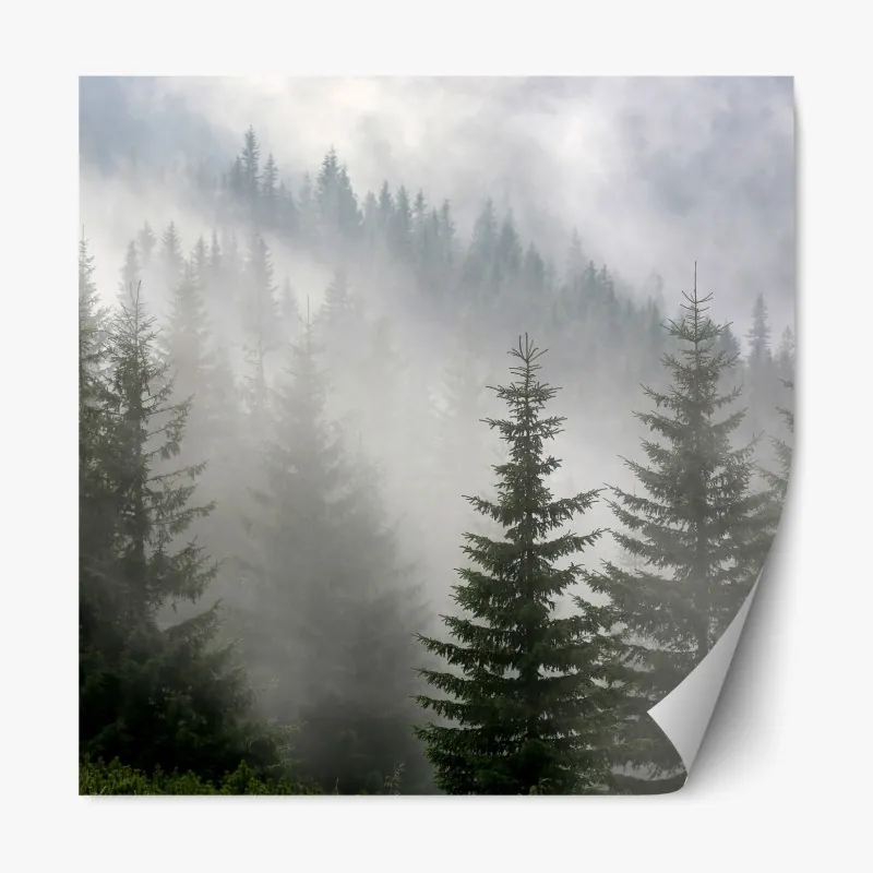 Repositionierbarer Aufkleber herbstlicher bergsee mit vögeln – Wallnifity®
