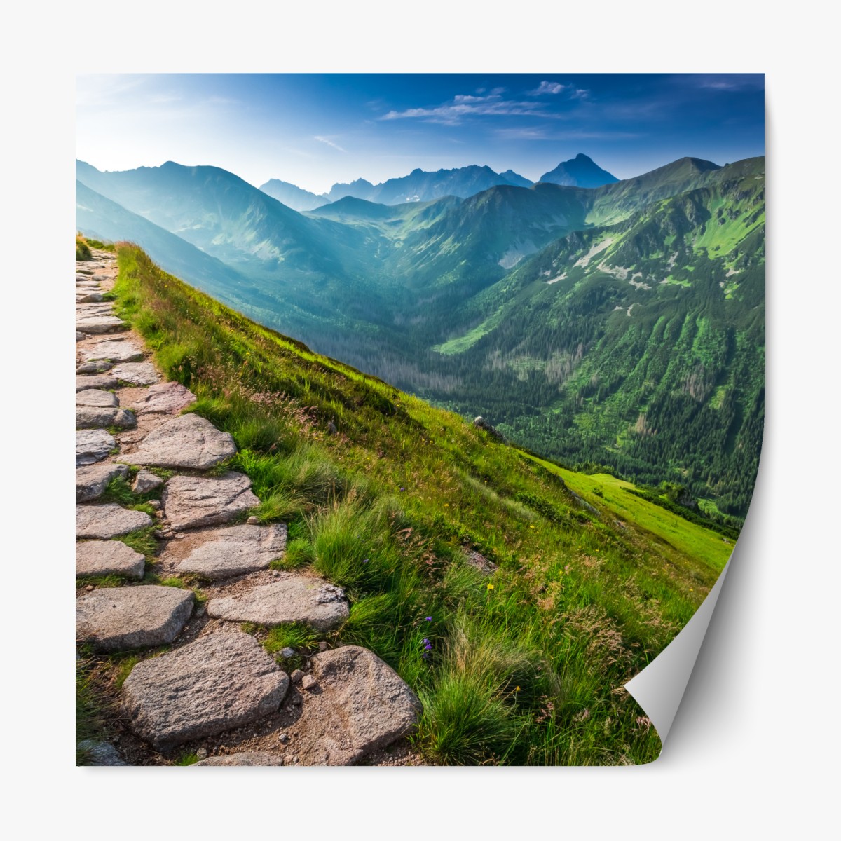 Repositionierbarer Aufkleber wanderpfad in der Tatra bei sonnenaufgang – Wallnifity®