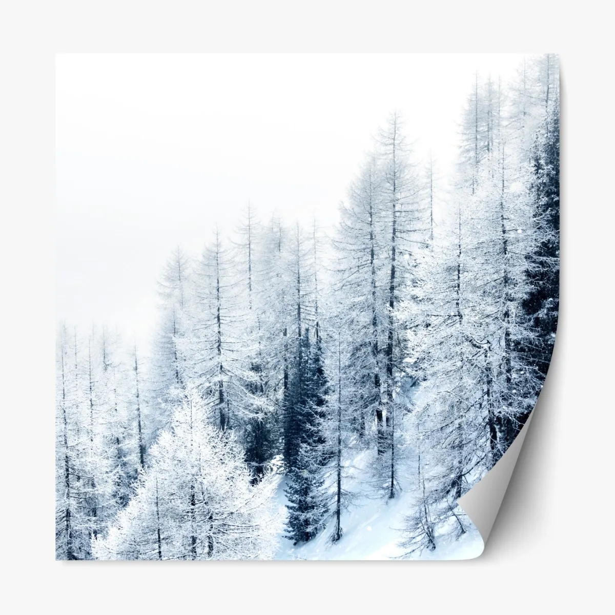 Repositionierbarer Aufkleber winterstille: verschneiter wald – Wallnifity®
