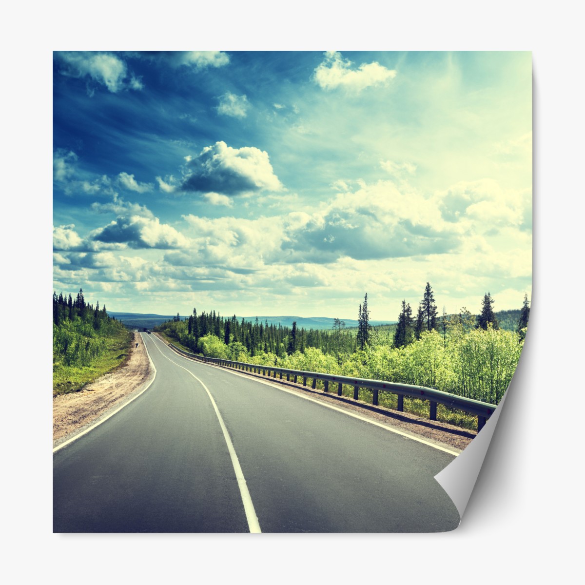 Repositionierbarer Aufkleber sonnenbeschienene waldstraße bis zum horizont – Wallnifity®