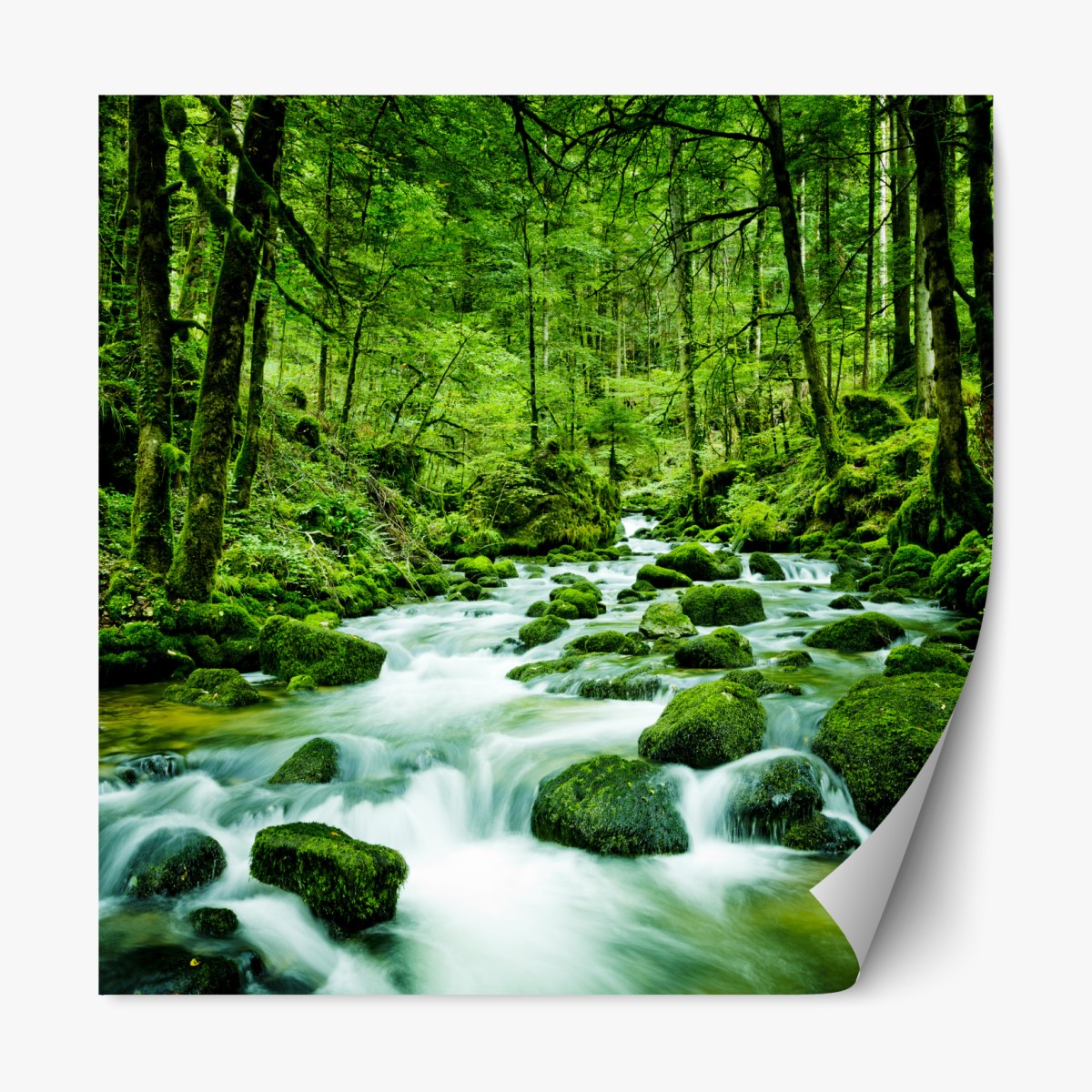 Repositionierbarer Aufkleber moosbedeckter waldbach – Wallnifity®