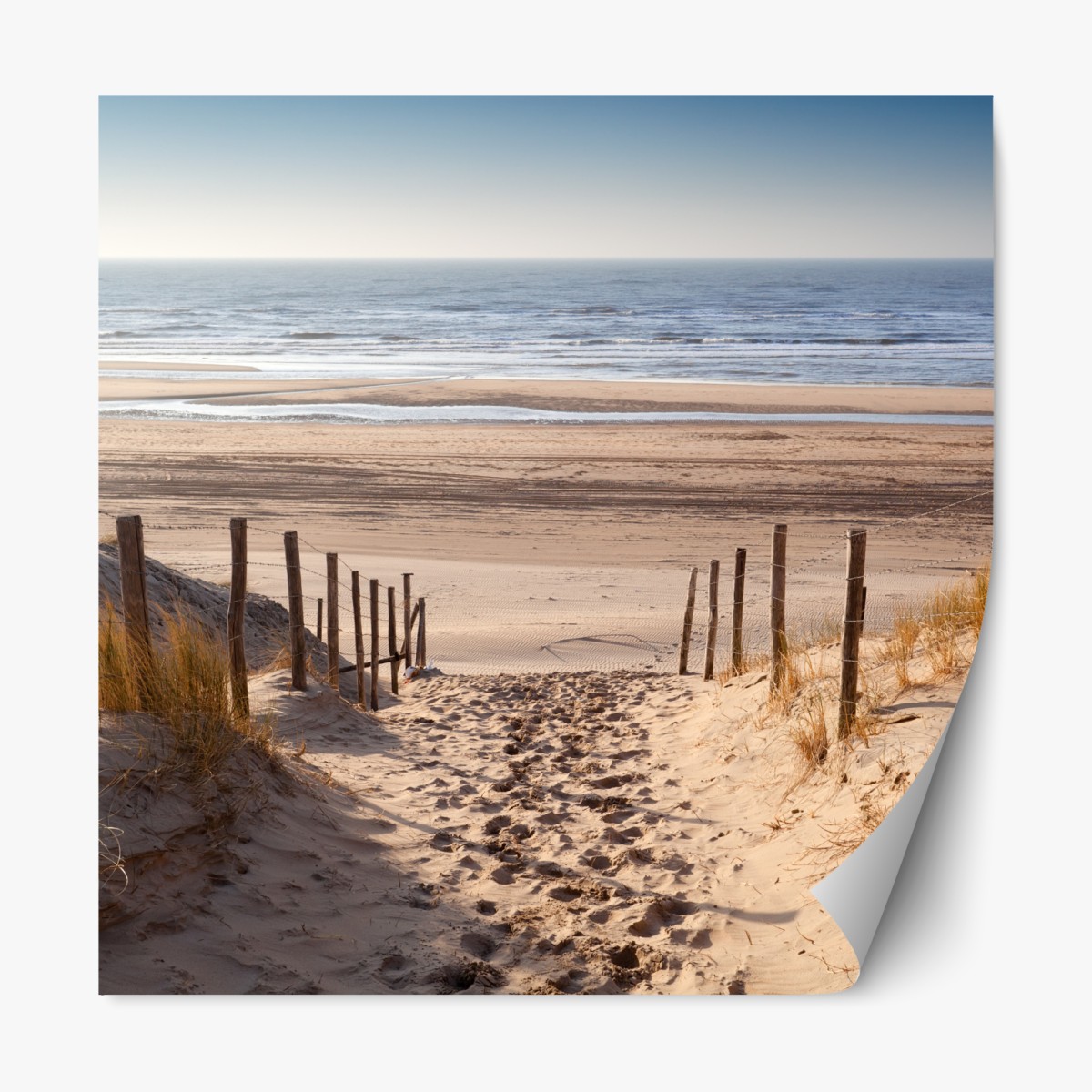 Repositionierbarer Aufkleber sonniger weg zur Nordsee – Wallnifity®