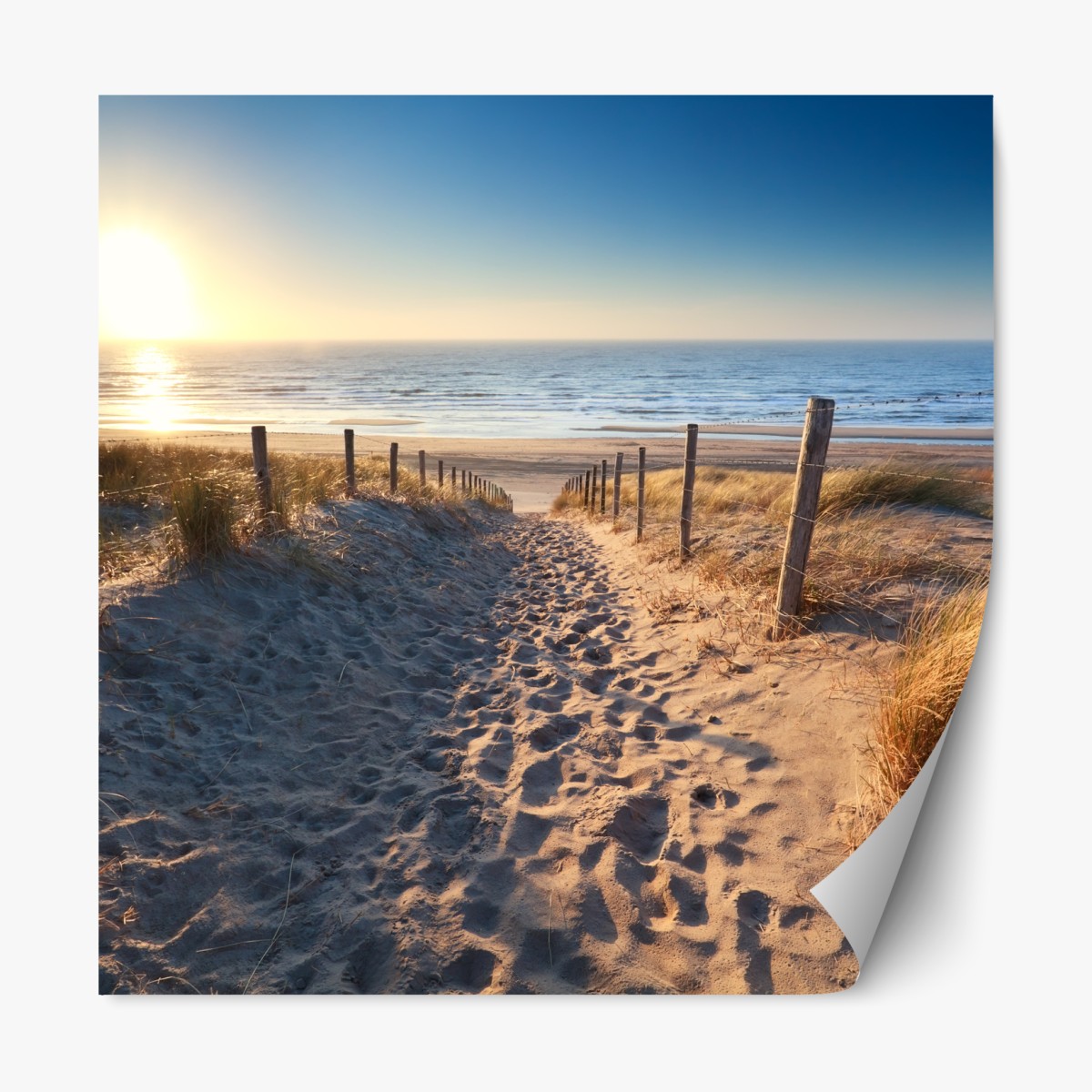 Repositionierbarer Aufkleber sonnenuntergangspfad zum meer in Zandvoort – Wallnifity®