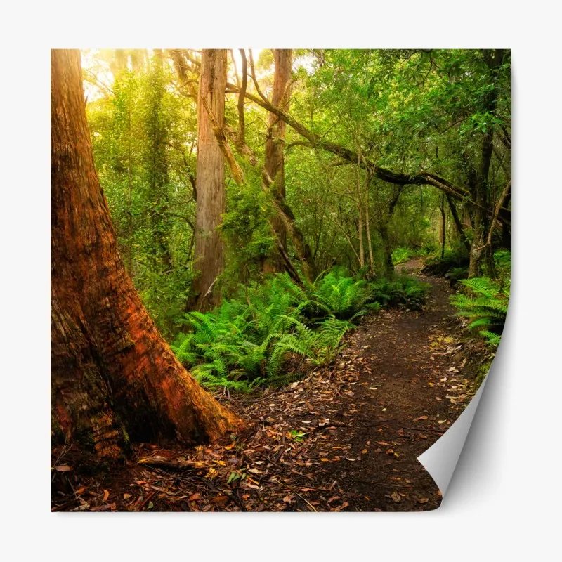 Repositionierbarer Aufkleber sonnige gasse auf der insel mit leuchtender buganvillea – Wallnifity®