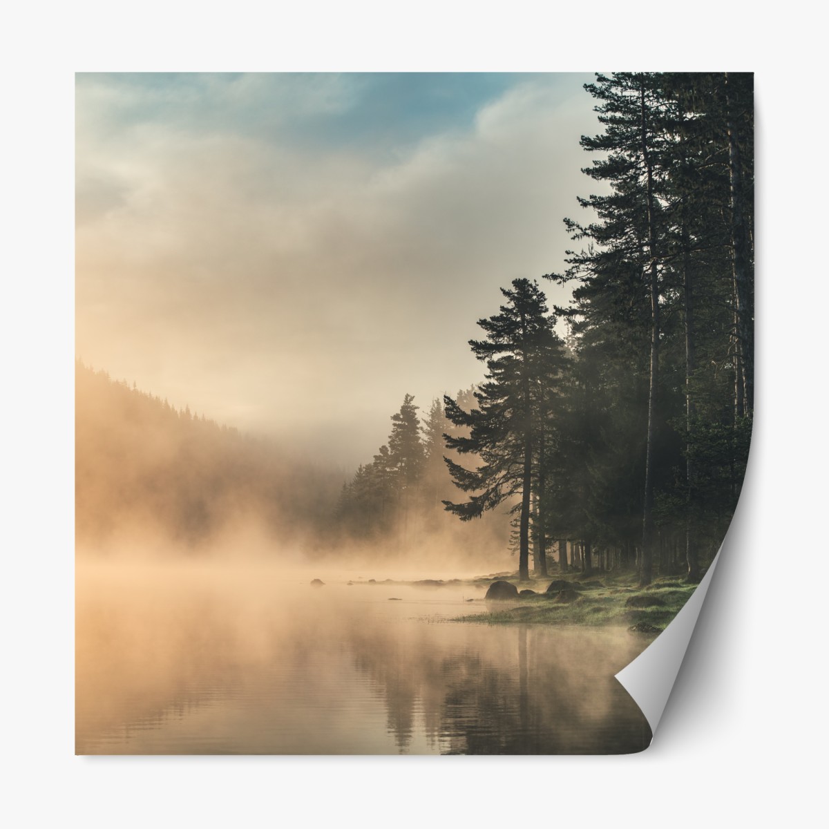 Repositionierbarer Aufkleber nebliger sonnenaufgang über waldsee – Wallnifity®