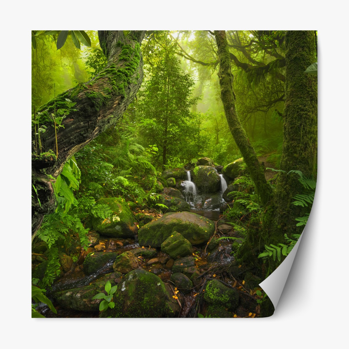 Repositionierbarer Aufkleber üppiger grüner wald mit bach – Wallnifity®