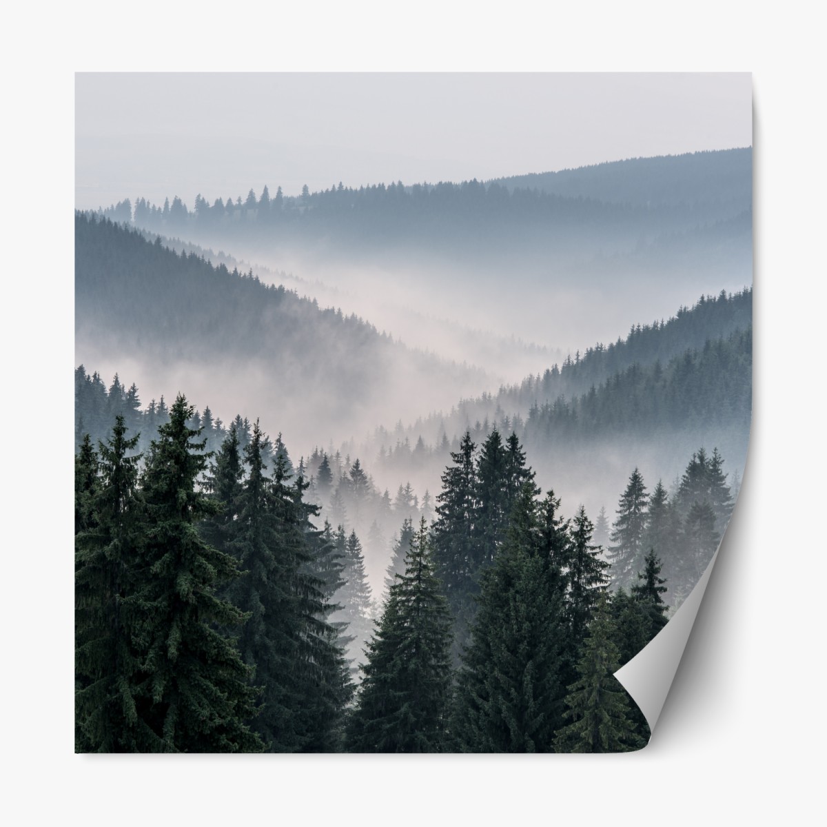 Repositionierbarer Aufkleber nebliger bergwald – Wallnifity®