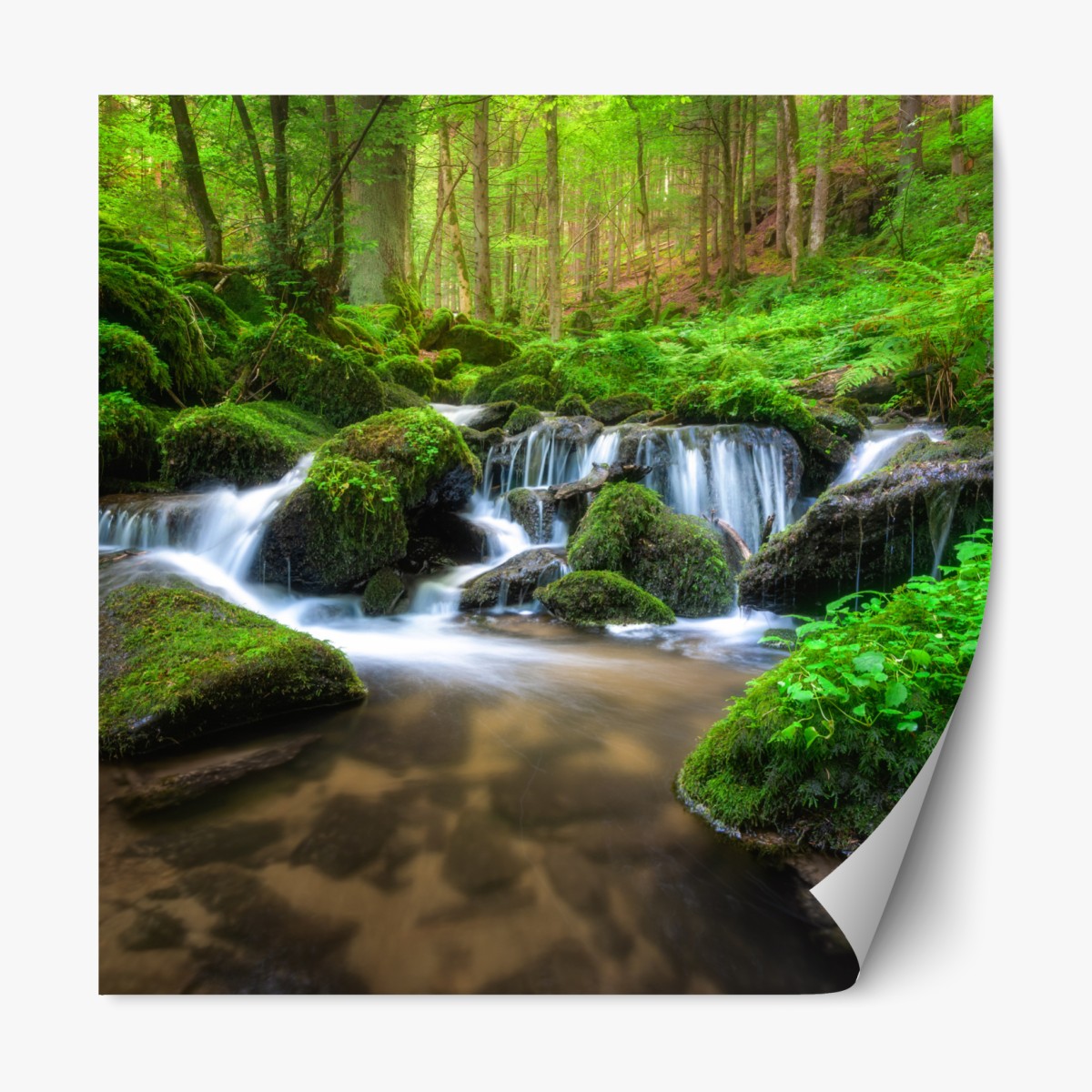Repositionierbarer Aufkleber ruhiger moosiger waldwasserfall – Wallnifity®
