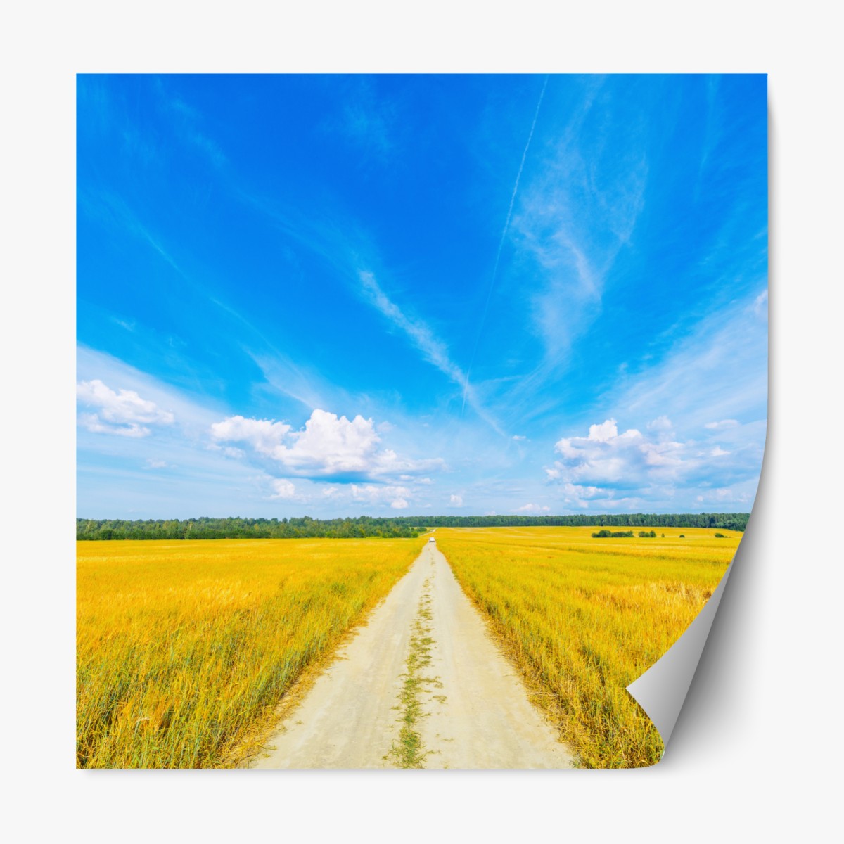 Repositionierbarer Aufkleber goldene wiese unter weitem blauem himmel – Wallnifity®