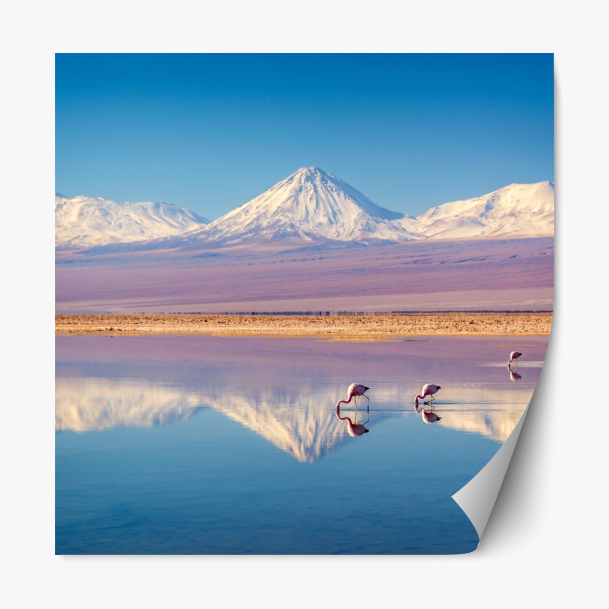 Repositionierbarer Aufkleber Laguna Chaxa mit flamingos und Licancabur – Wallnifity®