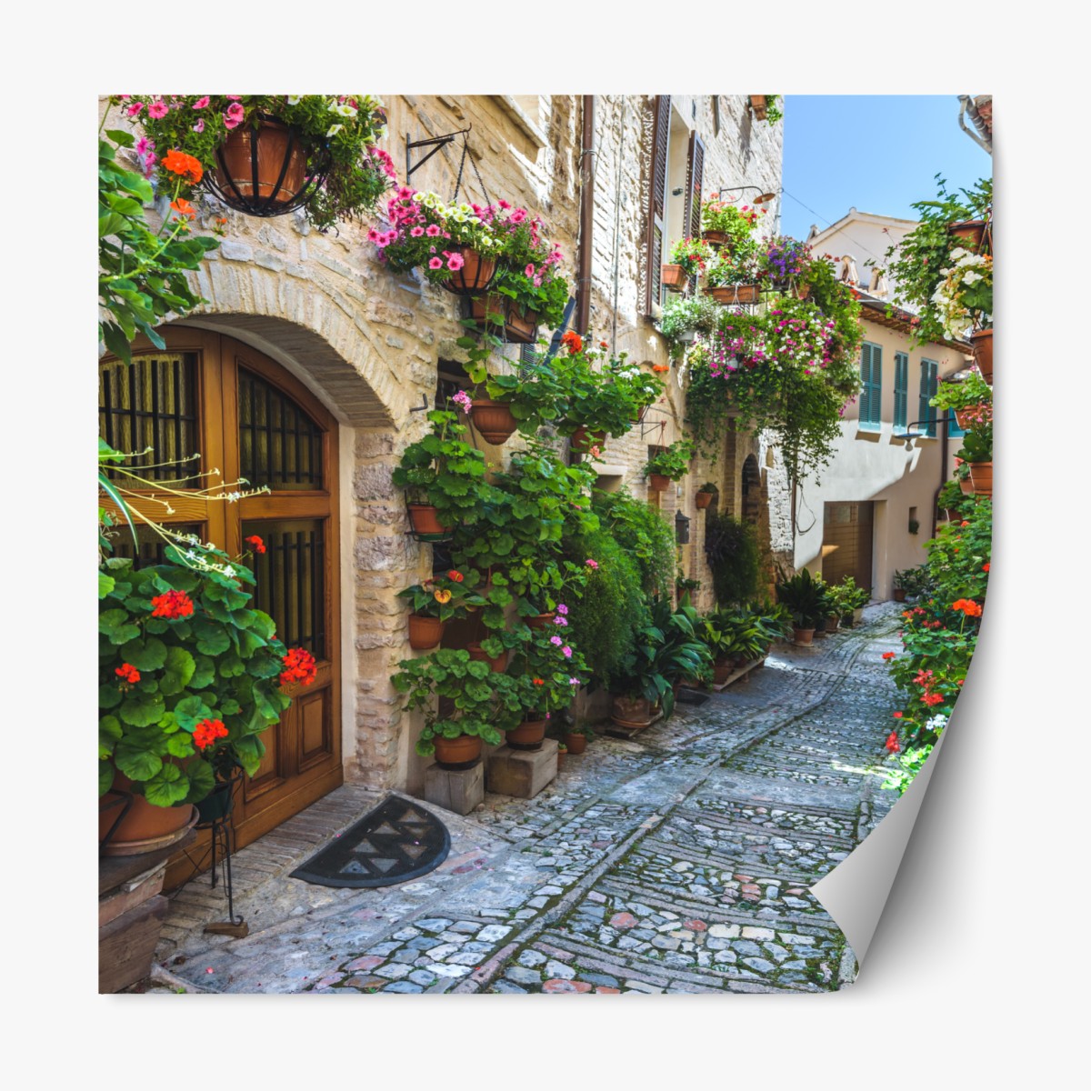 Repositionierbarer Aufkleber charmante gasse in Spello, Italien – Wallnifity®
